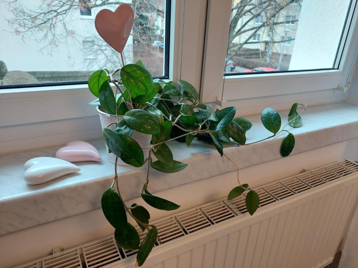 Helles Modern Eingerichtetes Apartment Halle  Bagian luar foto