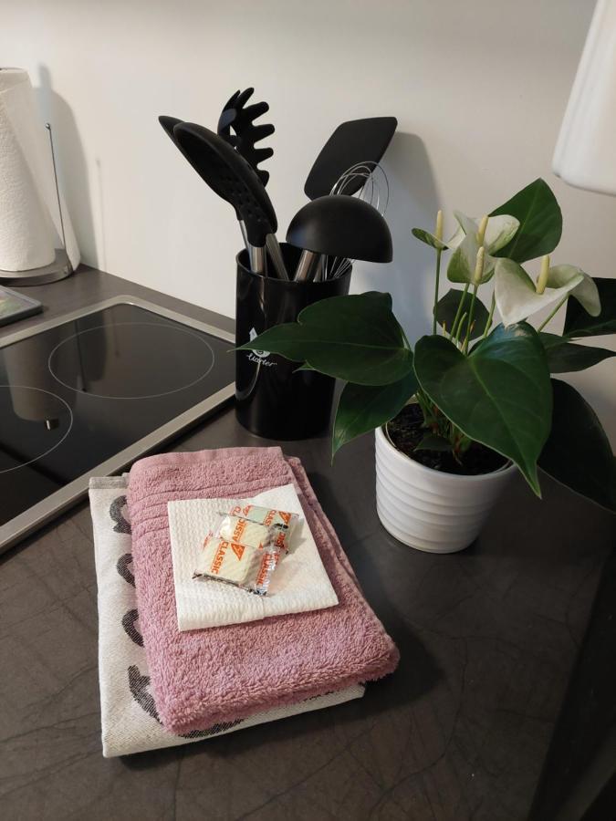 Helles Modern Eingerichtetes Apartment Halle  Bagian luar foto